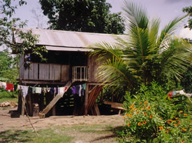 Rural housing in  Ecuador
